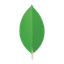 MongoDB MongoDB